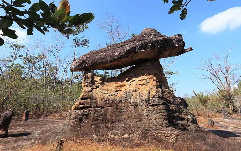 朴菩蝙蝠 歷史遺跡公園