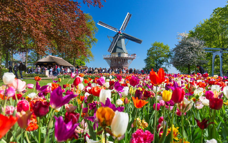 鬱約浪漫花香荷比盧12天